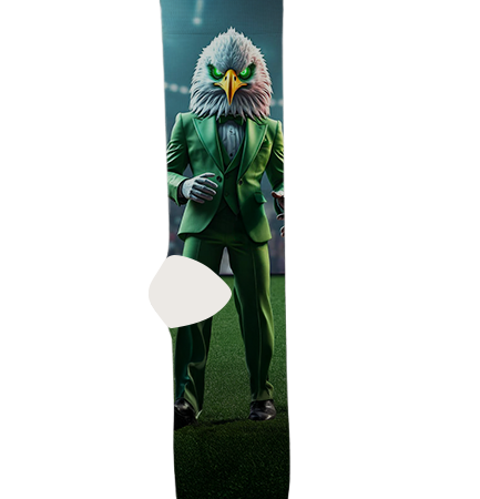 university-of-north-texas-socks