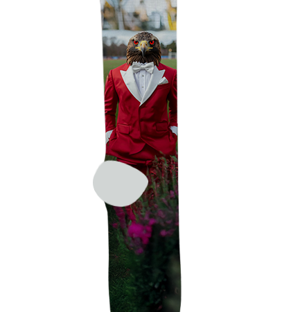 Toltecalli High School Socks