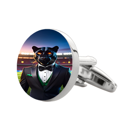 Amphitheater High School Cufflinks