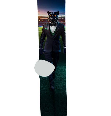 Amphitheater High School Socks