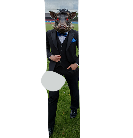 Mica Mountain High School Socks