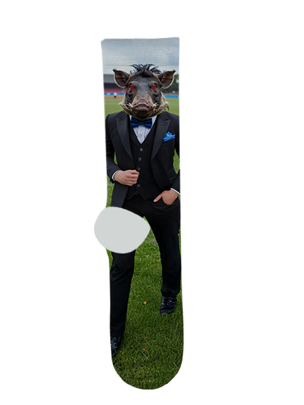 Mica Mountain High School Socks