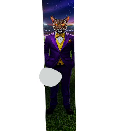 Sabino High School Socks