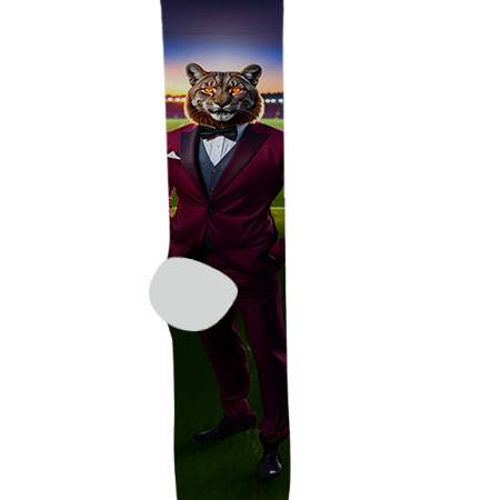 Ray High School Socks