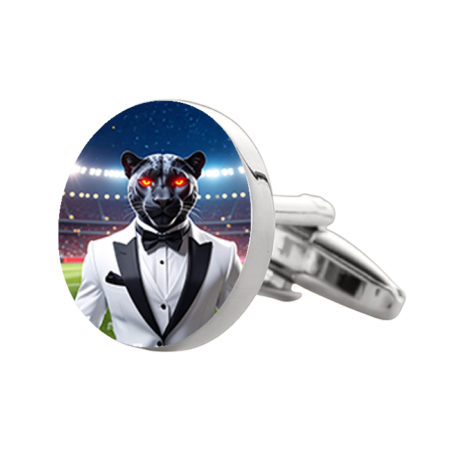 Superior Junior/Senior High School Cufflinks