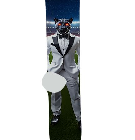 Superior Junior/Senior High School Socks