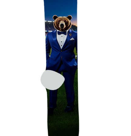 Coolidge High School Socks