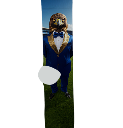 Desert Sunrise High School Socks