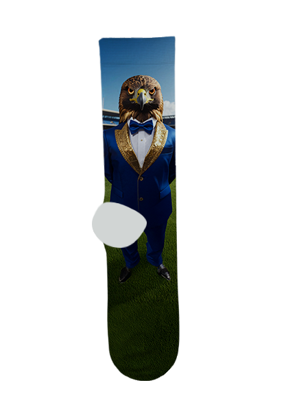 Desert Sunrise High School Socks