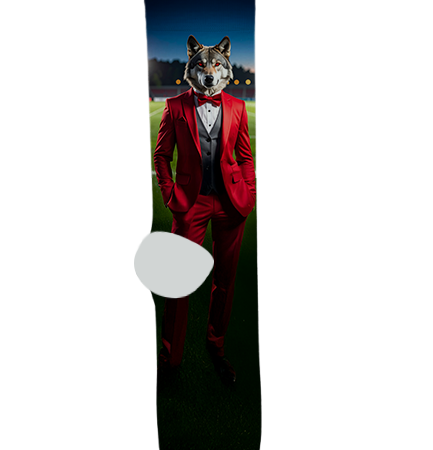 Combs High School Socks