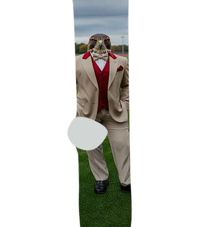 Rio Rico High School Socks