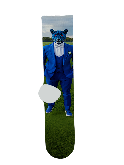 Chino Valley High School Socks