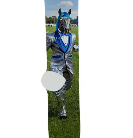 Buena High School Socks