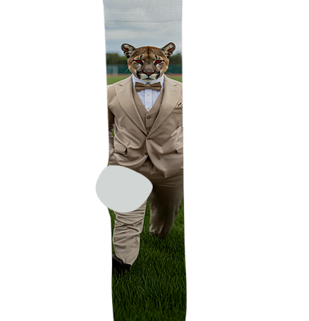 Cibola High School Socks