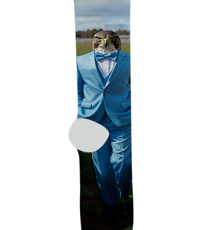 Gila Ridge High School Socks