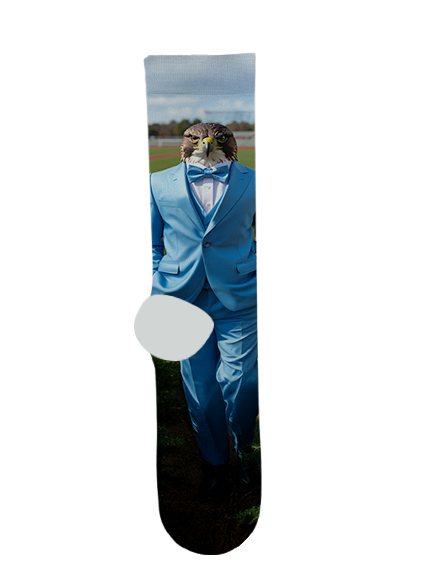 Gila Ridge High School Socks