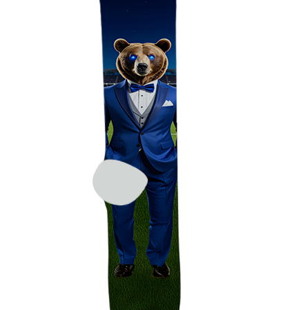 Bella Vista Private School Socks