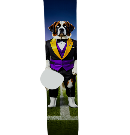 Notre Dame Preparatory High School Socks