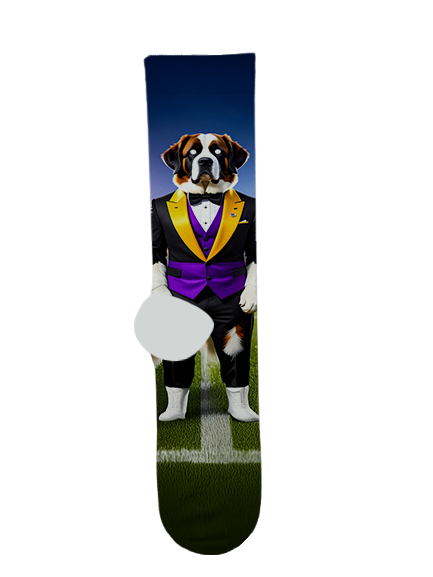 Notre Dame Preparatory High School Socks