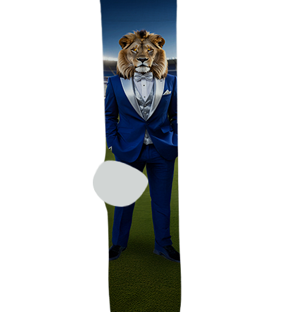 Veritas Christian Community School Socks