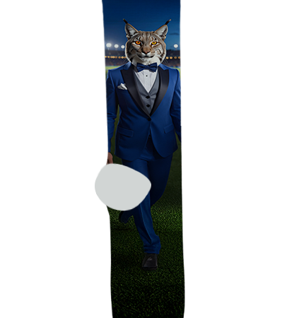 Fredonia High School Socks