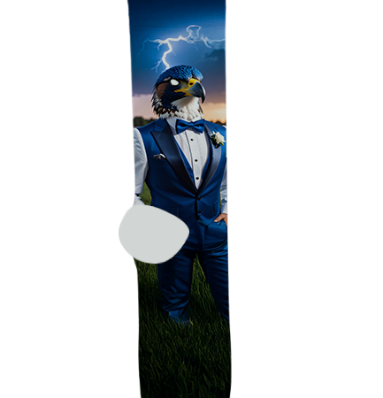 Thunderbird Adventist Academy Socks