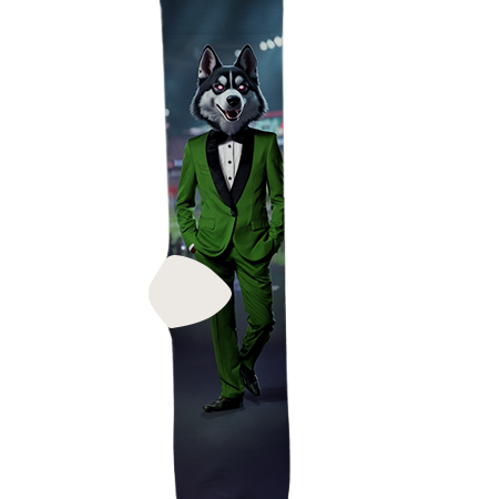 northern-illinois-university-socks