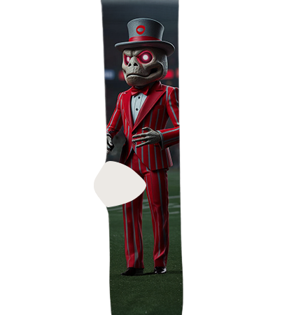 ohio-state-university-socks