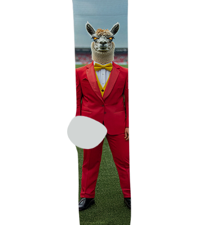 Coconino High School Socks