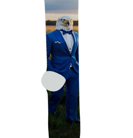 Desert Christian High School Socks