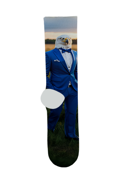 Desert Christian High School Socks