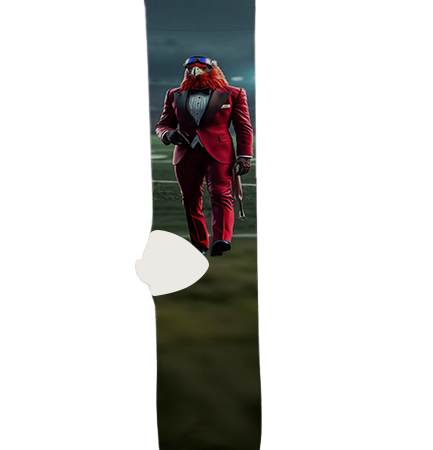 university-of-louisiana-monroe-socks