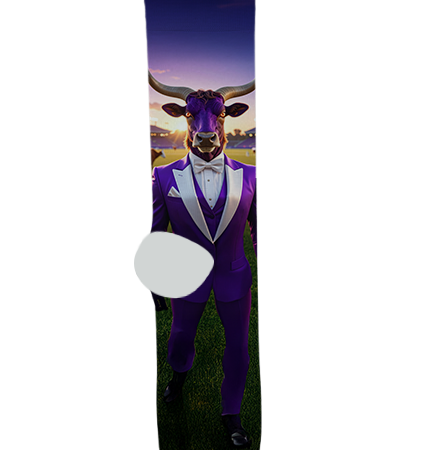 Payson High School Socks