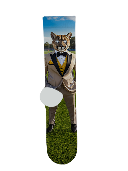 Pima High School Socks