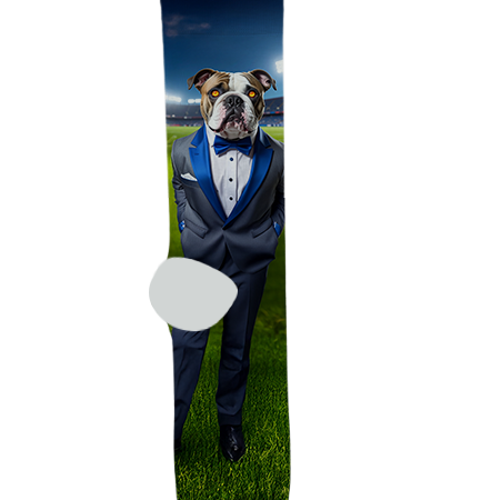 Safford High School Socks