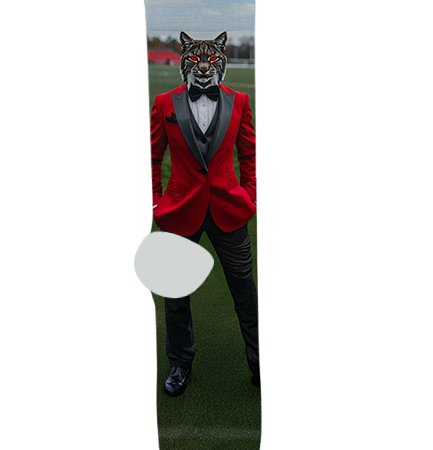 Duncan Unified School Socks District