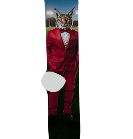 Morenci High School Socks