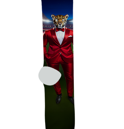 Boulder Creek High School Socks