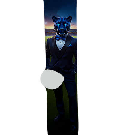 Canyon View High School Socks