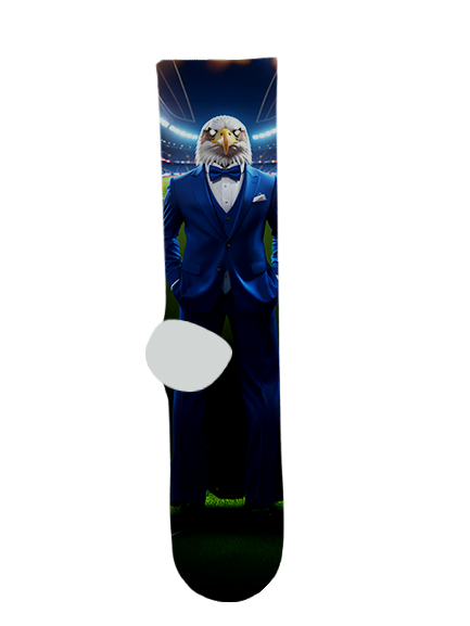 91st Psalm Christian School Socks