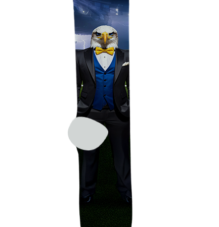 Phoenix Country Day School Socks