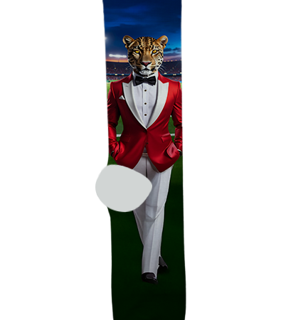 Boulder Creek High School Socks