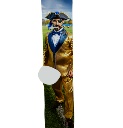 Valley Sanders High School Socks