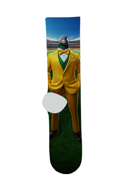 Glenview Adventist Academy Socks