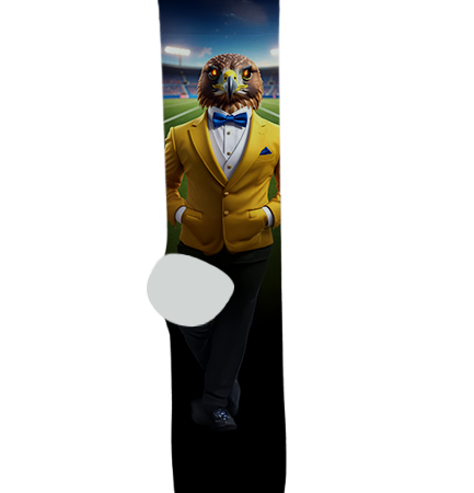 Buckeye Union High School Socks