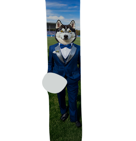 Skyview High School Socks