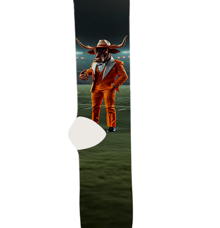 University of Texas at Austin Socks