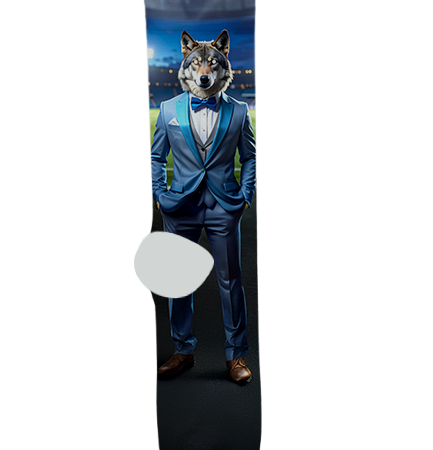 St. Augustine Catholic High School Socks