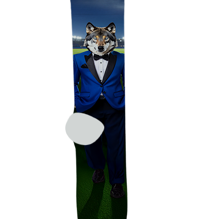 Chandler High School Socks