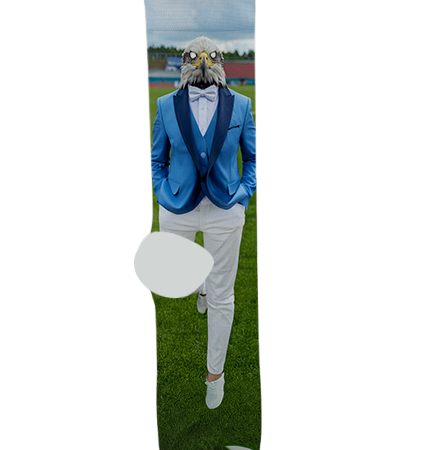 The Gregory School Socks